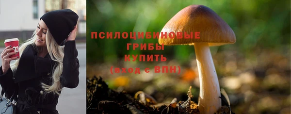 mdpv Нея