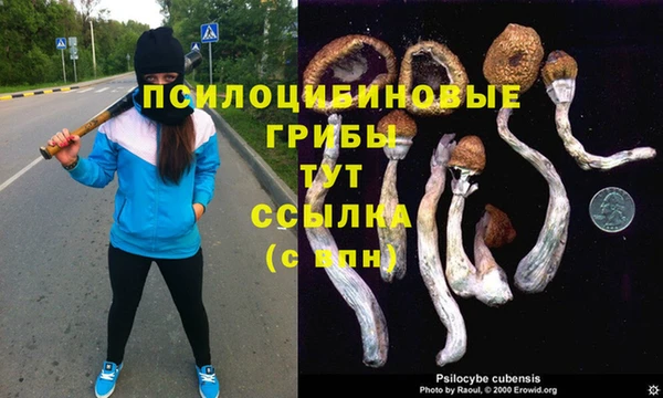 mdpv Нея
