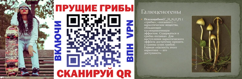 Купить где  Реж  Галлюциногенные грибы ЛСД 